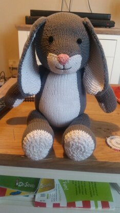 Bunny (Knit a Teddy)