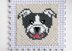 C2C Bulldog / Pitbull Dog Blanket Square