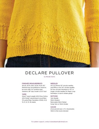 Declare Pullover