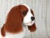 Cavalier King Charles spaniels dog crochet