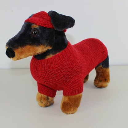 Small Dog 4 Ply Coat,Visor & Pixie Hat