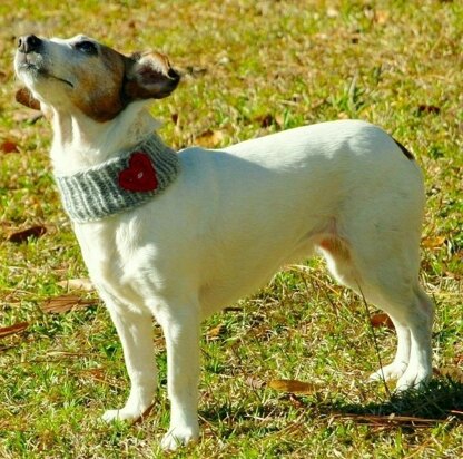 Puppy Hug Cowl