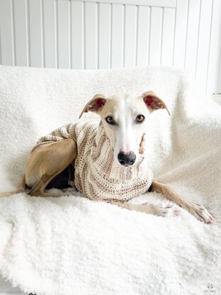 Doggo no 14 sweater