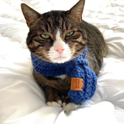 Cat shawl