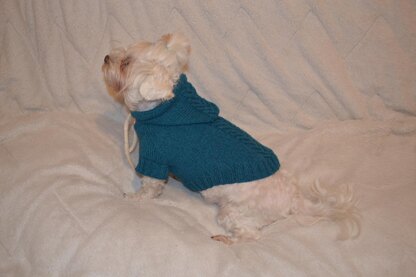 Sport hoodie clothes for dog