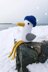 Seagull Crochet Pattern – Amigurumi Bird Plush PDF, Beginner-Friendly