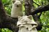 Owl In One Baby Onesie and Toy