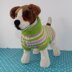 Dog Candy Stripe Sweater Coat