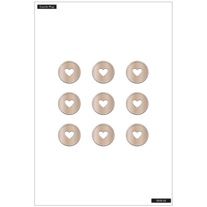 The Happy Planner Rose Gold Classic Disc
