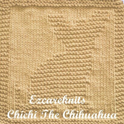 Chichi The Chihuahua