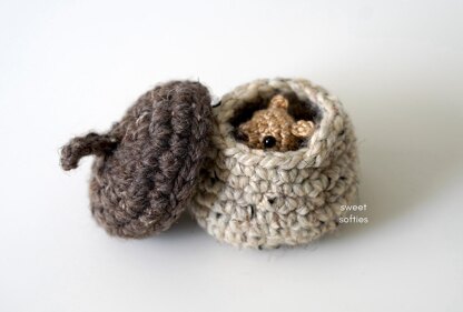 Baby Squirrel in Acorn