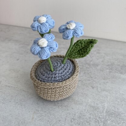 Puff Flower Plant