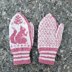 Squirrel mittens