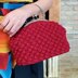 Crochet Raspberry Metal Frame Purse