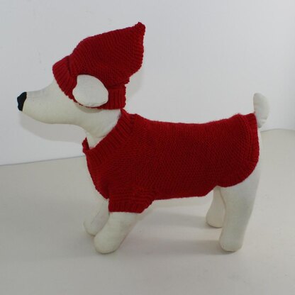 Small Dog 4 Ply Coat,Visor & Pixie Hat