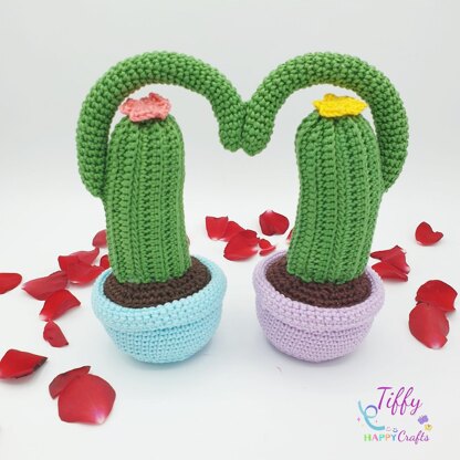 Cactus in Love