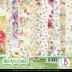 Ciao Bella Double-Sided Paper Pack 90lb 6"X6" 24/Pkg - Microcosmos, 12 Designs/2 Each