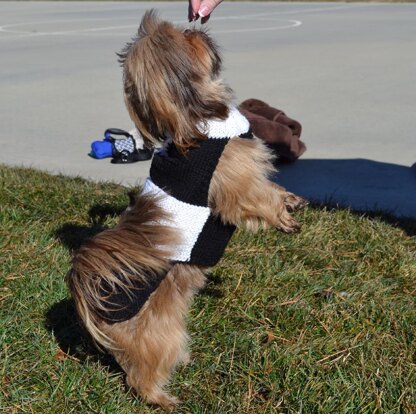 Tuxedo Dog Sweater