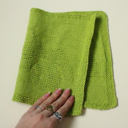 Alin Dishcloth