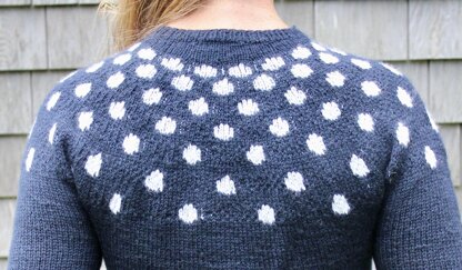 Polka Dot Crew Neck