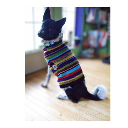 Stashbuster! Dog Sweater