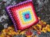 Summer Fun Granny Cushion