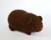 Chubby guinea pig