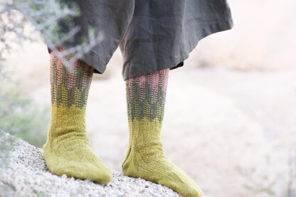 Cereus Socks