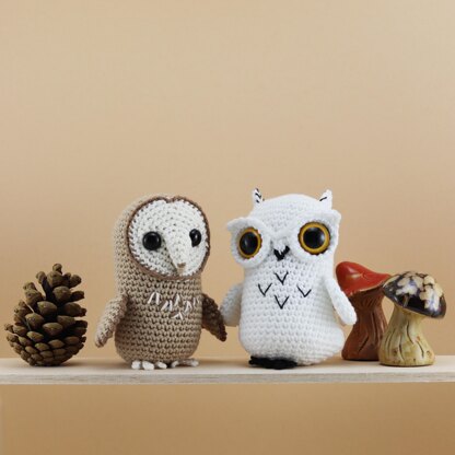 Feathered Owl Friends