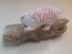 Fairy armadillo