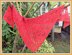 Not-Your-Garden-Variety Shawlette with Variation