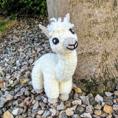 Eli The Alpaca