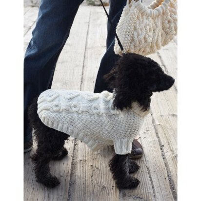 Biscuits & Bones Dog Coat in Patons Decor