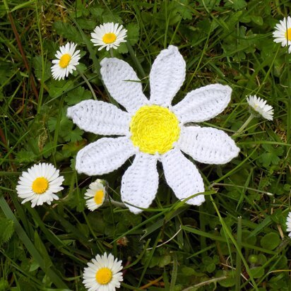 Daisy flower brooch