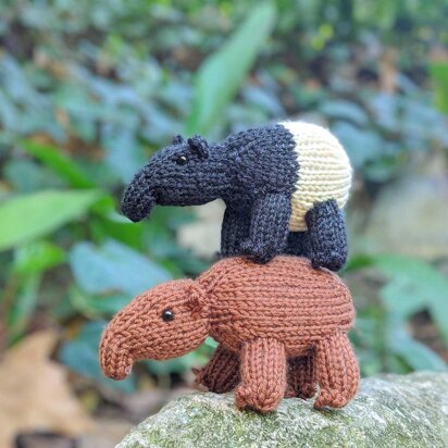 Mini Tapir Cousins Floyd and Elena