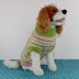 Dog Candy Stripe Sweater Coat