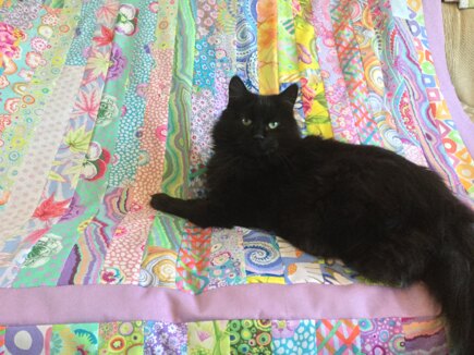 LOVE CRAFTS ! when can we show and tell our sewing & quilting ?? #4