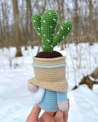 Gnome-cactus in a pot 2
