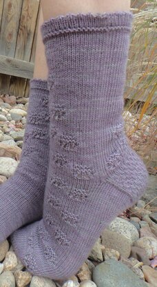 Dinah's Paws Socks