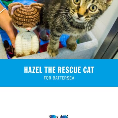 Hazel the Cat for Battersea