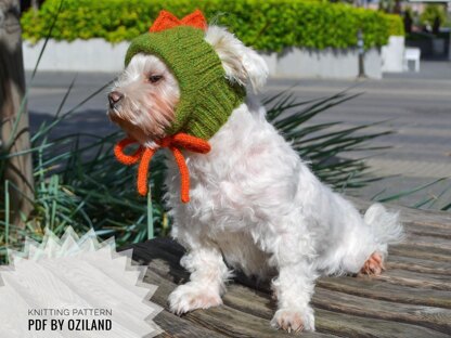 Knitting Pattern Dragon dog hat for small dog Size XS