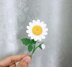 Daisy branch