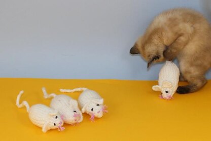 3 Blind Mice Kitten Toy