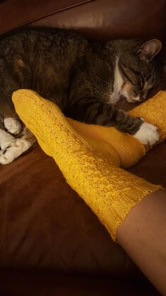 Look Around Socks