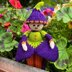 Crocus Flower Doll Knitting Pattern