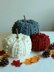 Tiva Crochet Pumpkins