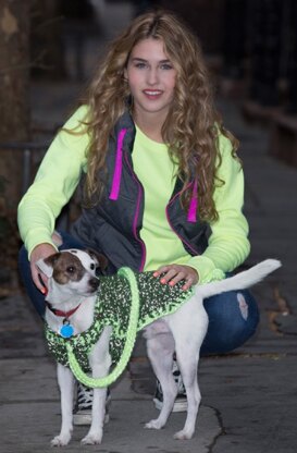 Flashy Dog Sweater and Leash in Red Heart Reflective - LW4143