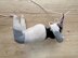 Pin-up girl + Videos