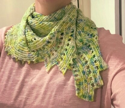 First Knitted Shawl
