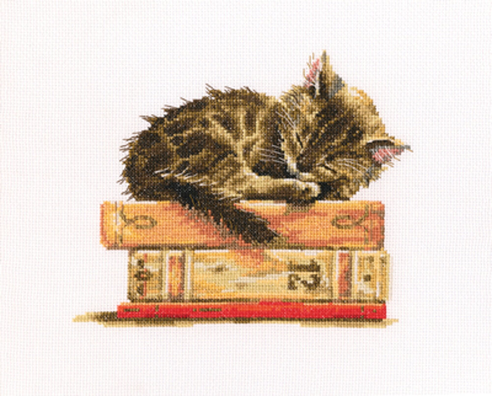 Котенок в коробке рисунок